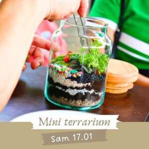 Petit Atelier - Mini Terrarium Samedi 17 Janvier 11h-12h