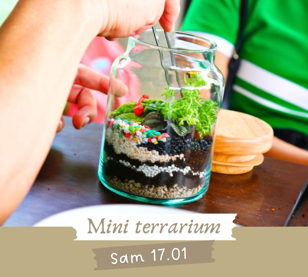 Petit Atelier - Mini Terrarium Samedi 17 Janvier 11h-12h