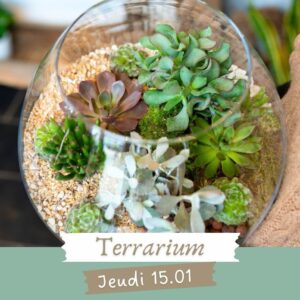 Atelier - Terrarium Jeudi 15 Janvier 19h-21h