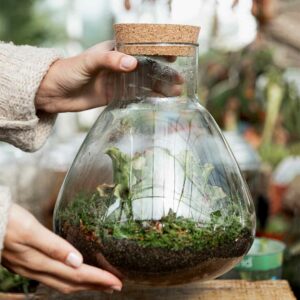 terrarium