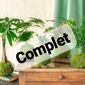 Atelier - KOKEDAMA - Jeudi 21 Mai - 19h à 21h