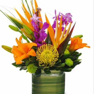 Petit Atelier - Compo Exotique - Samedi 12 septembre – 11h à 12h